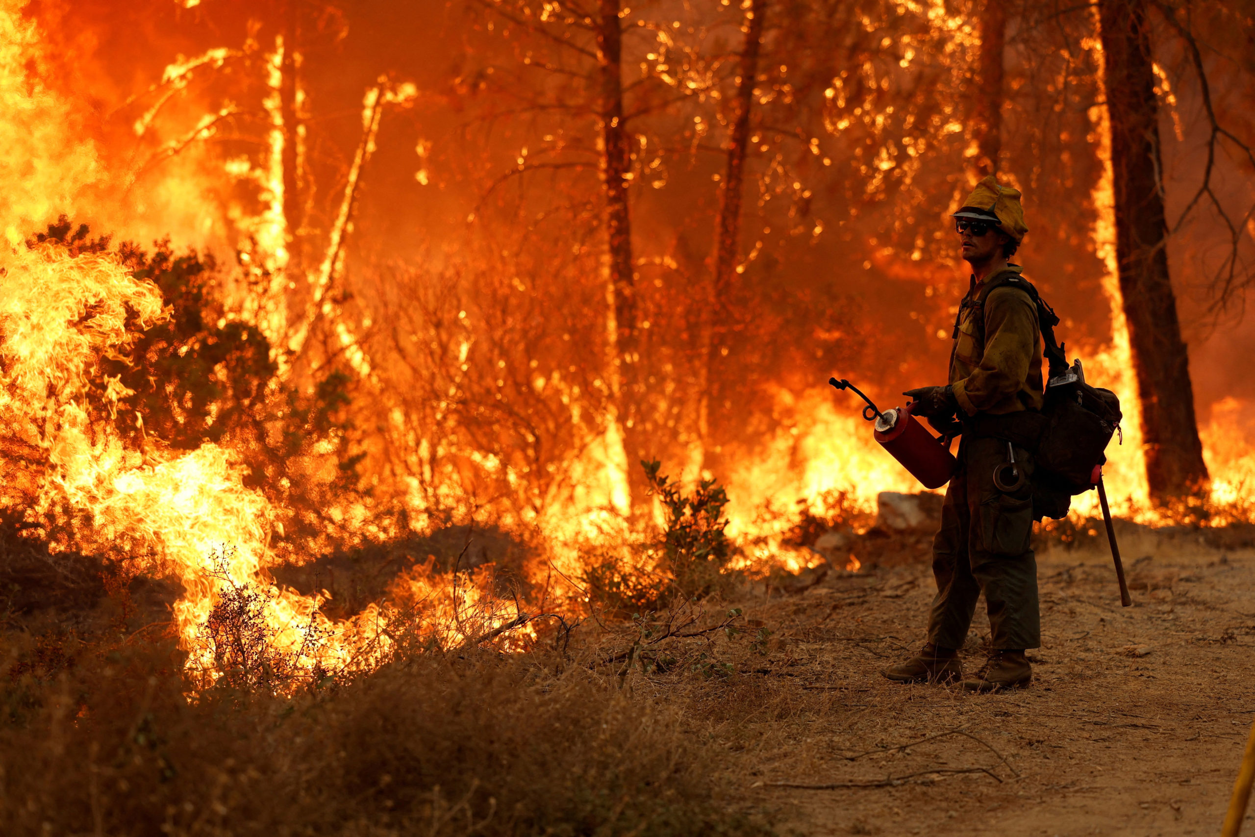 A firefighter monitors the flames from a backfire while fighting the Mosquito fire at Volcanoville,...
