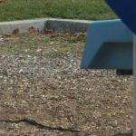 Teachers, secretaries and recess monitors in the Murray School District are dealing with students stepping, sitting or rolling in dog droppings. (KSL TV)