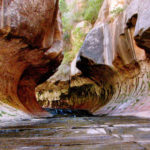 142 of 11261882245.jpg
In this August 2008 file photograph, "The Subway," a slot canyon in Zion National Park, gets its name from its tunnel-shaped chamber, water tumbles through a narrow crack in the rocks. (Ed Timms/Dallas Morning News/MCT)