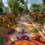 Road at the entrance of the municipal graveyard of Teotitlan del Valle as part of the 2021 'Day of The Dead' celebration on November 01, 2021 in Oaxaca, Mexico. (Manuel Velasquez/Getty Images)