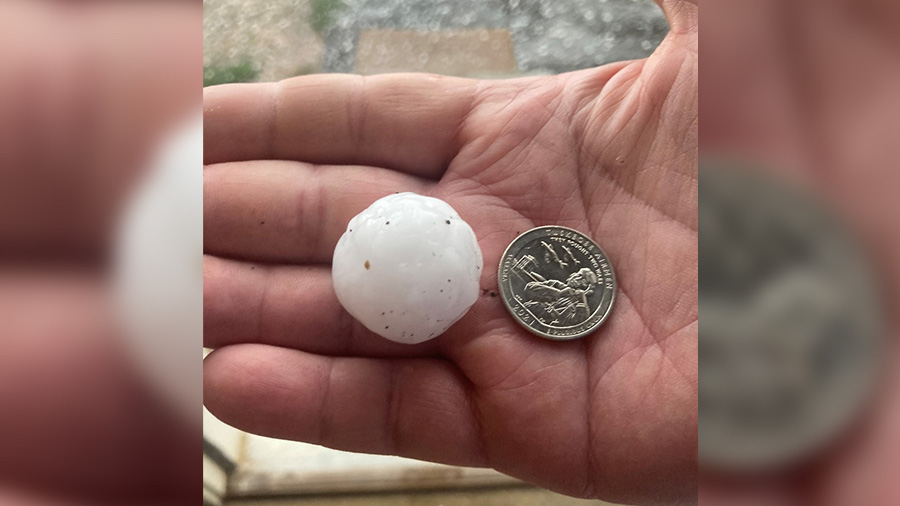 The hail in Grand County compared to a silver dollar. (Courtesy: Seth Ohms)...