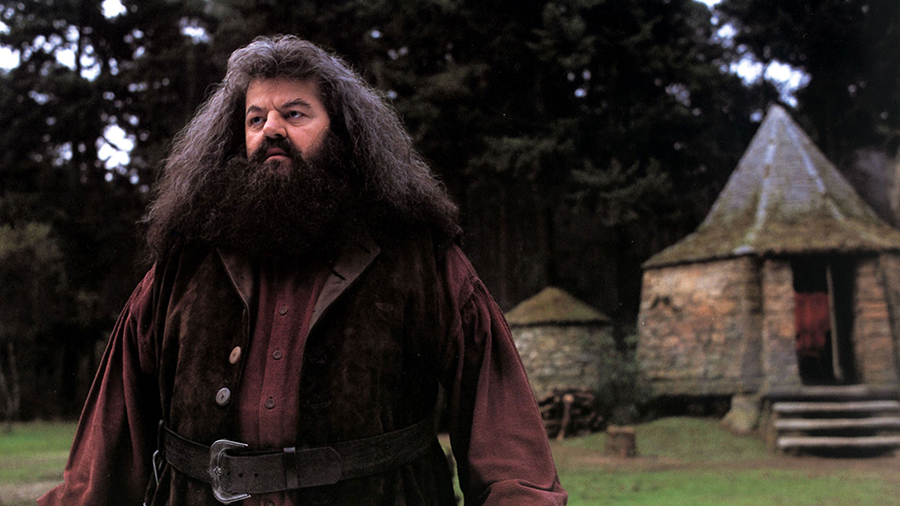HARRY POTTER AND THE PHILOSOPHER'S STONE US/BR 2001 ROBBIE COLTRANE PLEASE CREDIT WARNER BROS AND J...