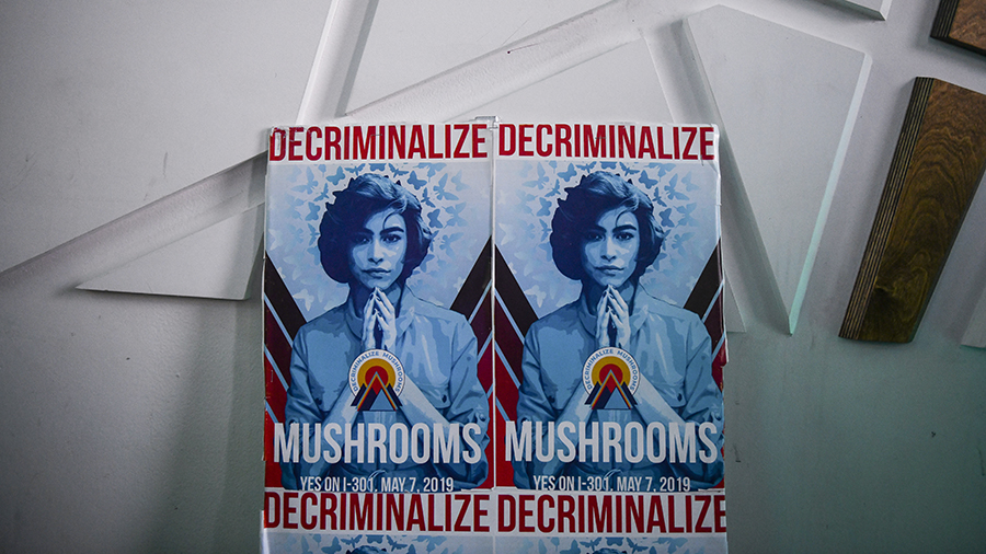 Posters supporting decriminalization of psychadelic mushrooms....