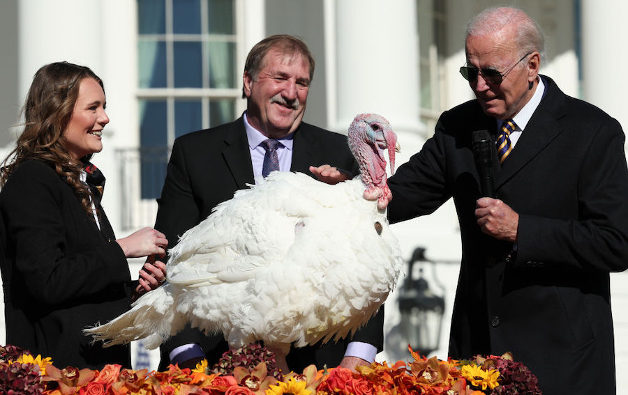 President Joe Biden pardons Chocolate, the National Thanksgiving Turkey, as he is joined by the 202...