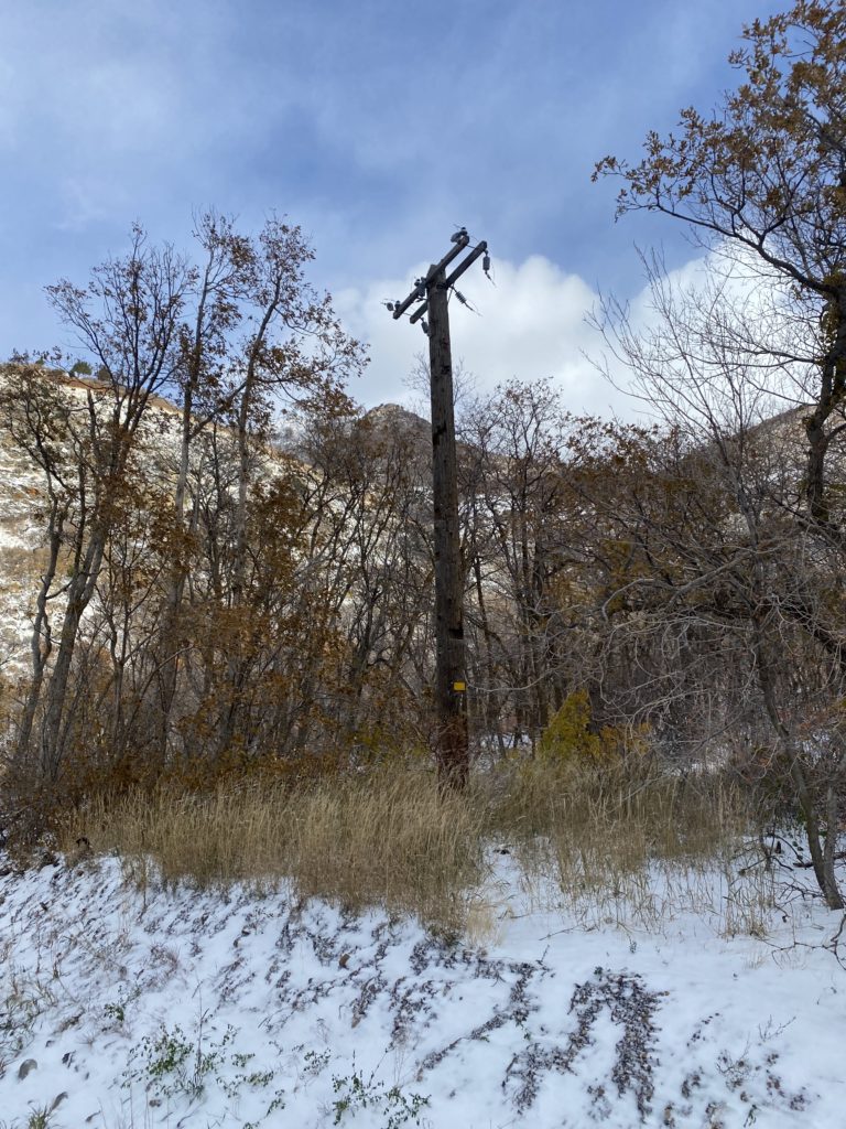 Millcreek powerpole to be removed