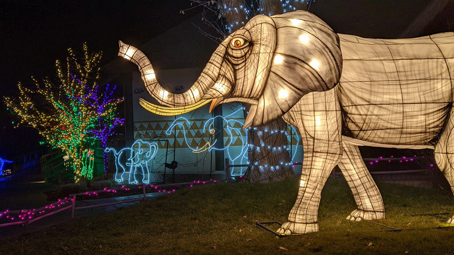 A large lit up elephant near other lights at Hogle Zoo....
