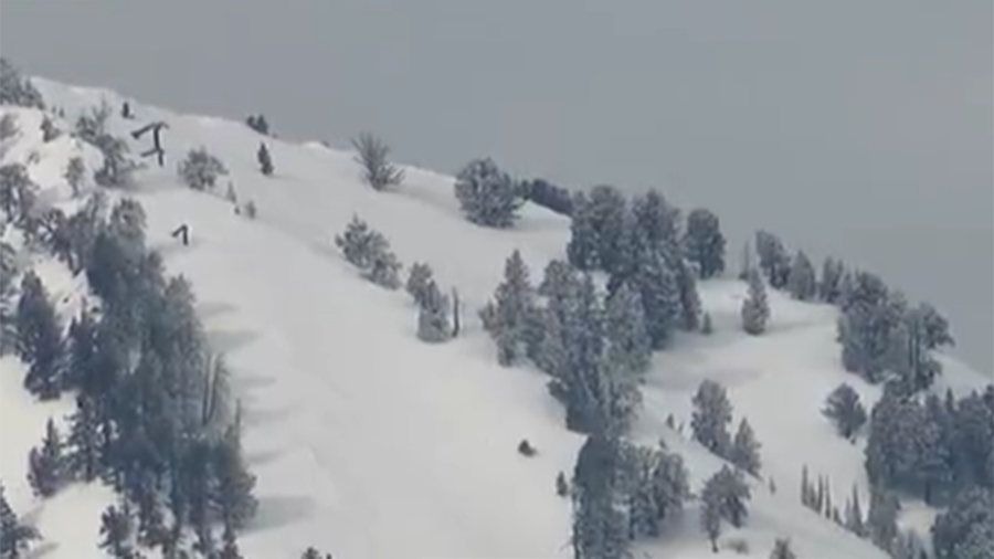 Snow covers the trees and mountains with paths for skiers....