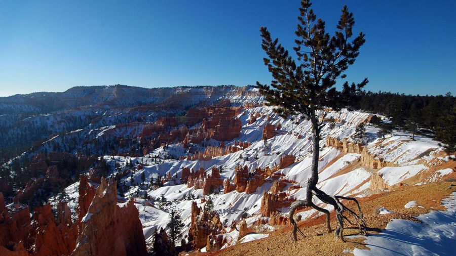 Hoodoos in Bryce Canyon National Park on Monday, Jan. 15, 2007....