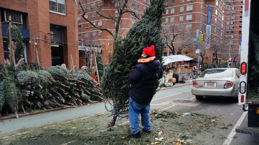 Men put Christmas trees in a truck for distribution to other sites at a sidewalk tree store in Manh...