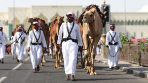 Camels are walked outside of the Grand Mosque ahead of the FIFA World Cup Qatar 2022 at on November 20, 2022 in Doha, Qatar.