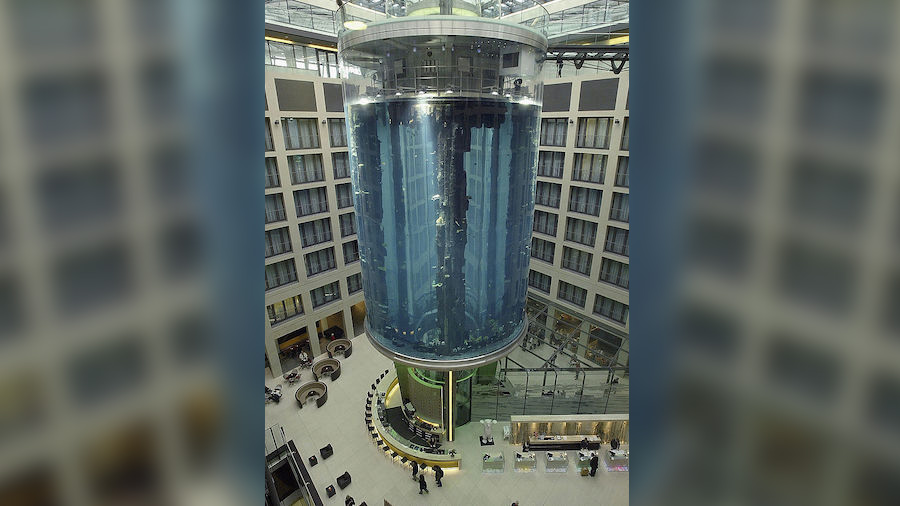 FILE: Fish are seen swimming in the AquaDom & Sea Life Centre, May 13, 2004 in Berlin, Germany. The...