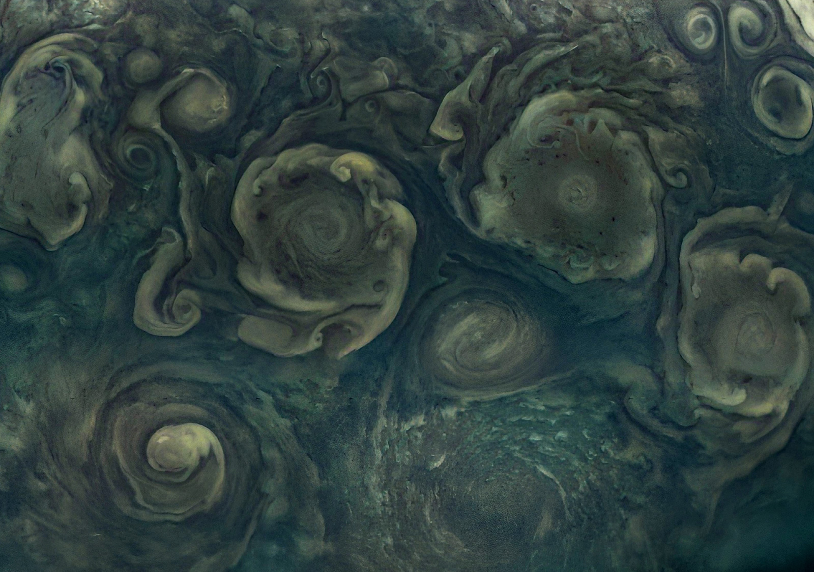 JunoCam took this image of Jupiter's northernmost cyclone (visible to the right along the bottom ed...