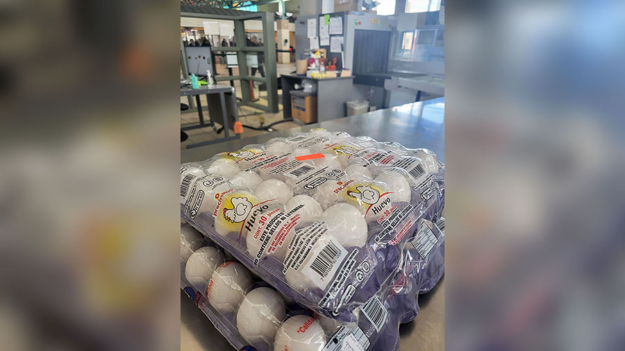 An image from Customs and Border Protection shows eggs that a traveler attempted to bring into the ...