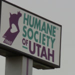 The Utah Humane Society says Utah animal shelters are running over capacity right now as the number of people looking to adopt has dropped drastically. (KSL TV)