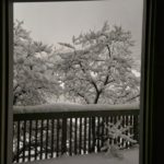 Snow in Provo, Utah on Feb. 22, 2023. (Steve Johnson)