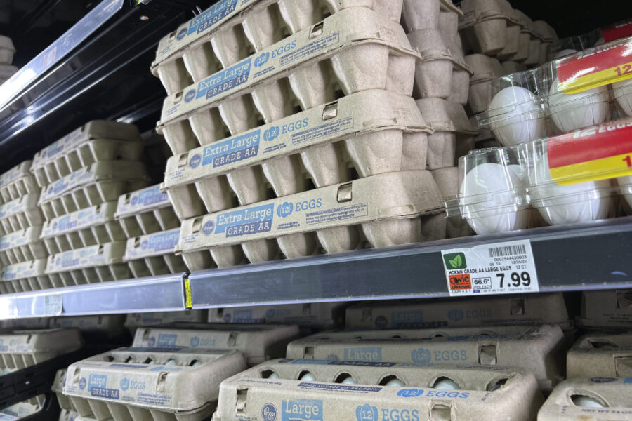 FILE - Eggs are displayed on store shelves at a local grocery store in Chandler, Ariz., Jan. 21, 20...