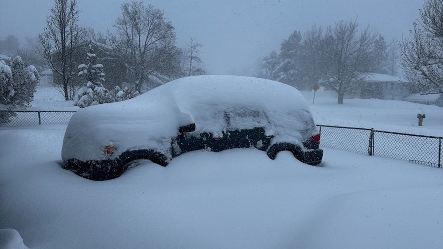 Snow in Tooele Wednesday morning. (Michael Todd)...