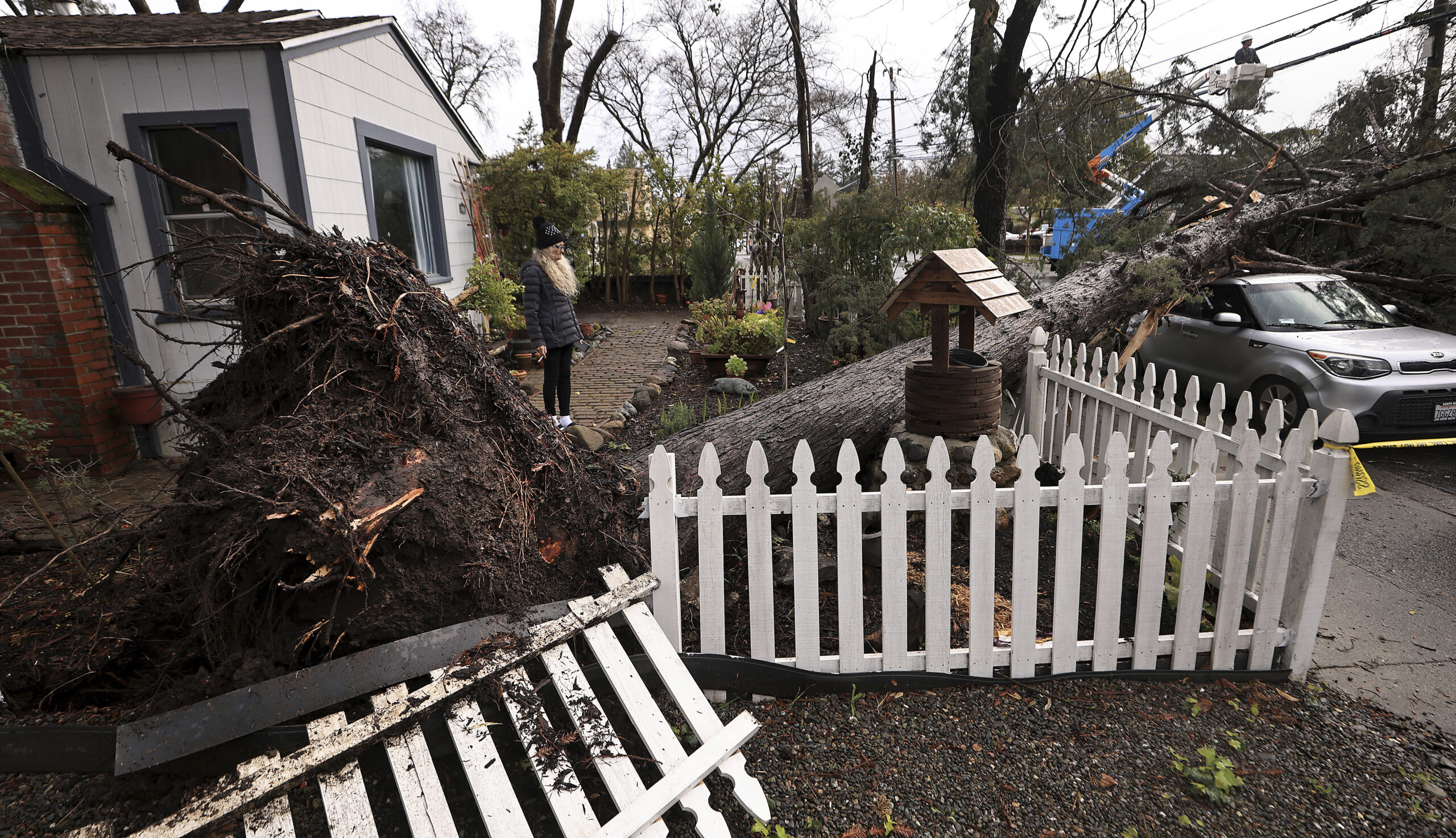 Helena Zappelli surveys the damage to her yard and vehicle after a large tree fell over, Tuesday, M...