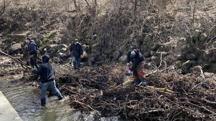 Clearing Little Cottonwood Creek