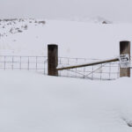 Rigby Ranch in Newton, Utah, buried in snow on March 24, 2023. (Mark Less/KSL TV)