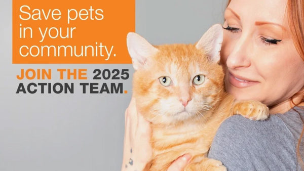 Anyone Can Help Community Cats To Celebrate International Rescue Cat Day