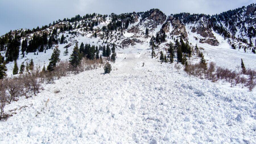 A glimpse of the avalanches up Little Cottonwood Canyon in 2023. (Chris Williams)...