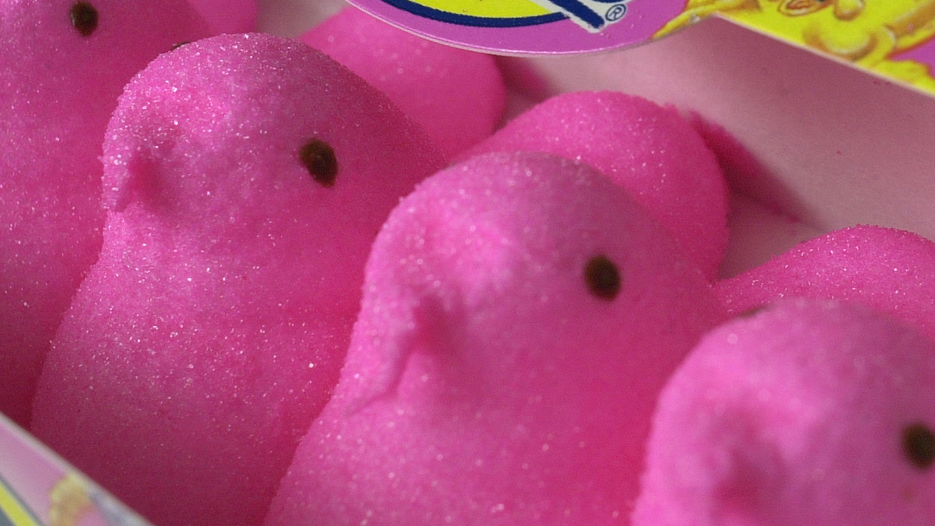 WARMINSTER, PA - APRIL 18:  Pink and yellow Marshmallow Peeps are seen April 18, 2003 in Warminster...