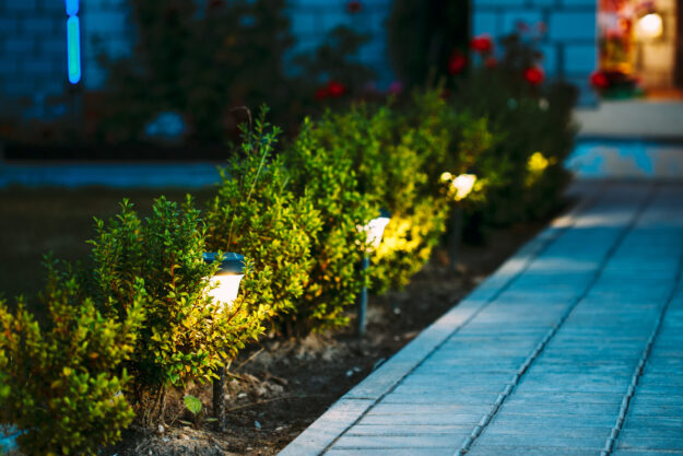 Path illuminated by downlights highlighting landscaping features