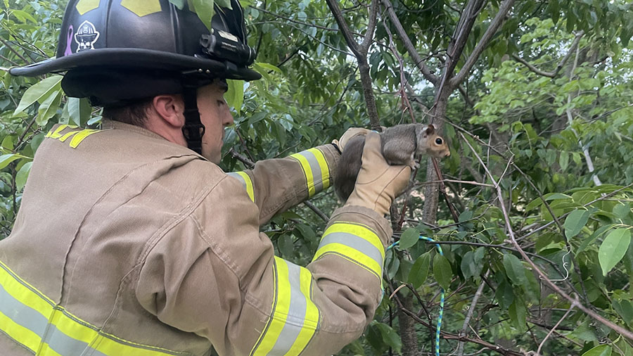 The Green Fire Department made an unusual rescue on Tuesday night. Crews received a call about a do...