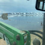 Ranchers along the Bear River in Rich County are dealing with severe flooding. (The Utah Department of Agriculture and Food)