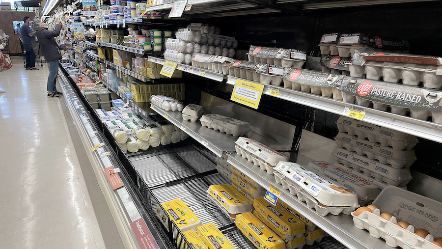 Egg prices have been declining this year. (Justin Sullivan/Getty Images via CNN)...