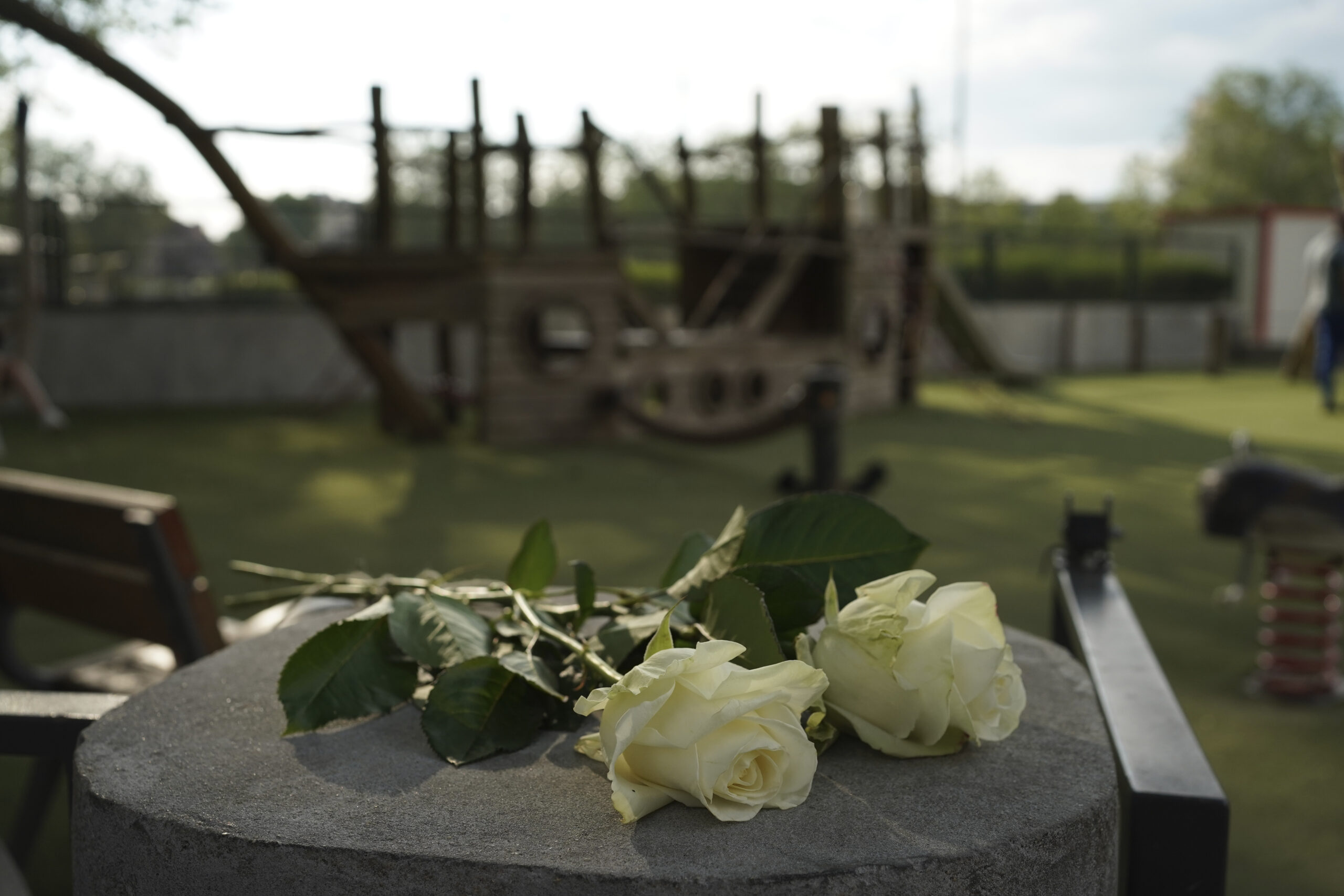 Roses lay at the playground after a knife attack Thursday, June 8, 2023 in Annecy, French Alps. A a...