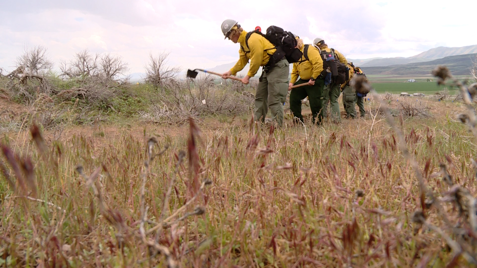 Utah’s Division of Forestry, Fire, and State Lands is hosting wildland firefighting training exer...