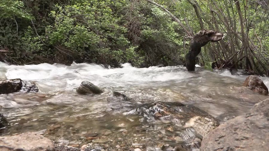 Area where a Layton hiker got trapped in the creek in Adams Canyon due to the rushing water...