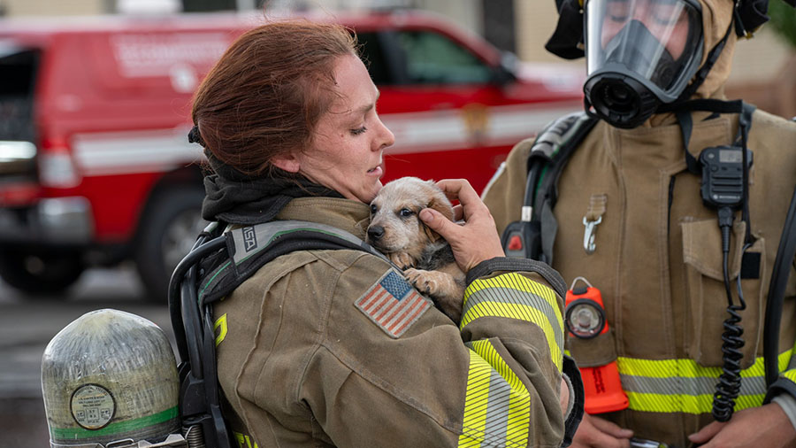 One of the four dogs rescued by firefighters. (Unified Fire)...