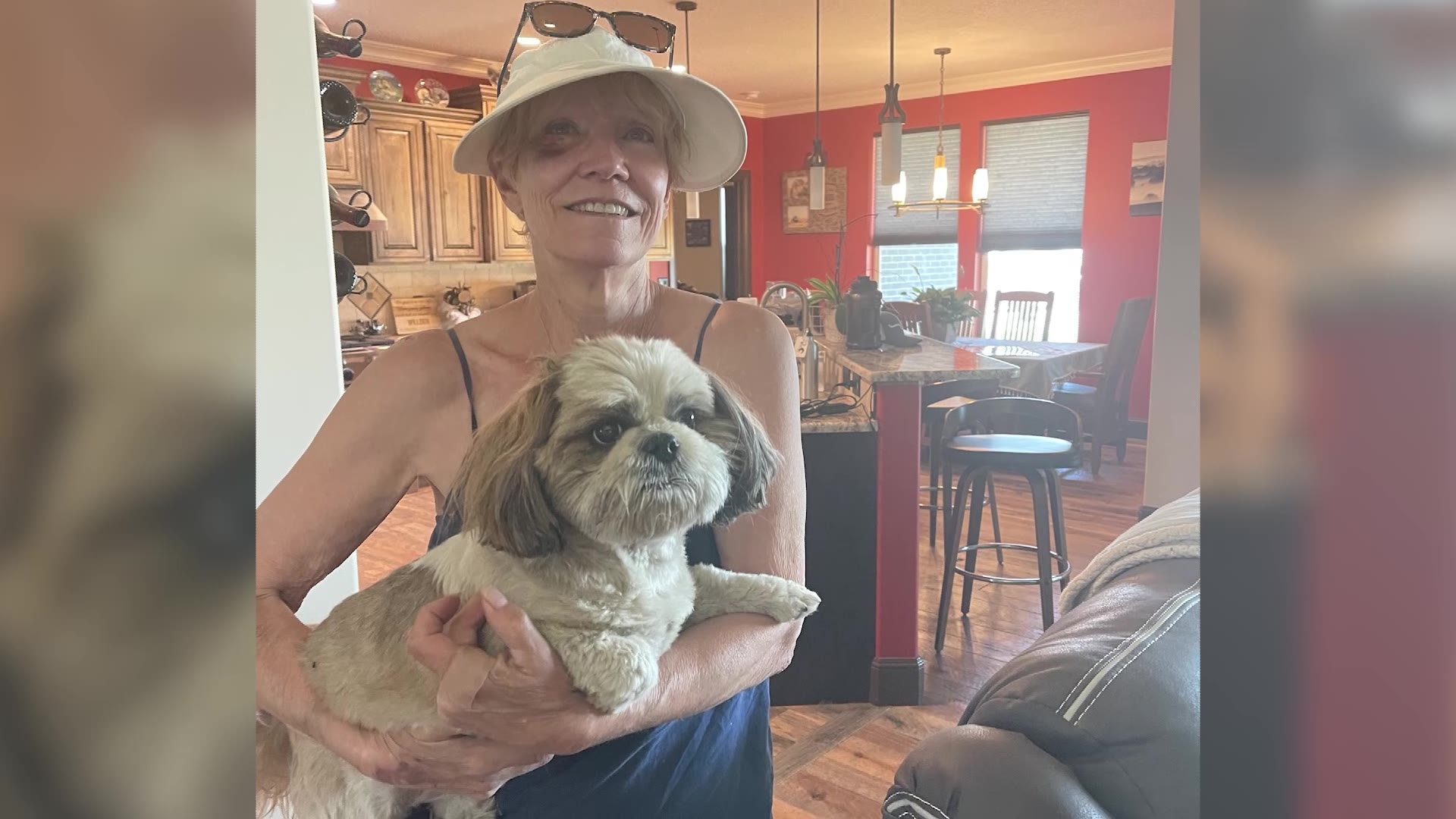 Reo the Shih Tzu back with his owner, Dee Thorell. (Courtesy: Dee Thorell)...
