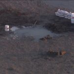 The site where the human remains were found at Bear Lake. (KSL TV)