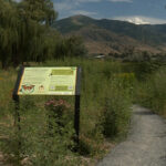 A pollinator garden at the I-15 rest stop in Perry is part of a project to protect the bee population in Utah. (KSL TV)