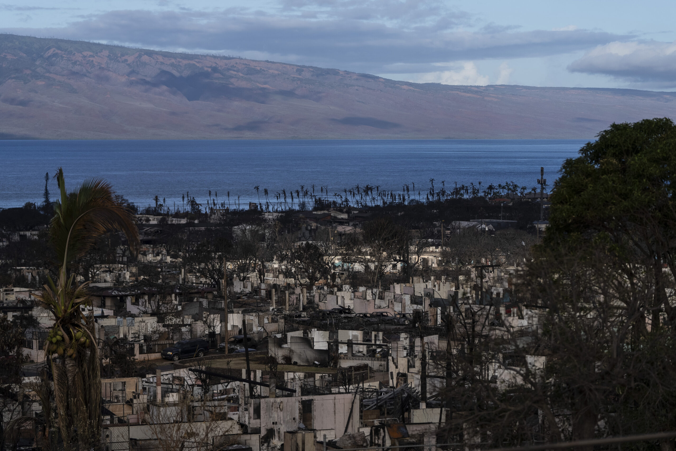 Homes consumed in recent wildfires are seen in Lahaina, Hawaii, Wednesday, Aug. 16, 2023. The wildf...