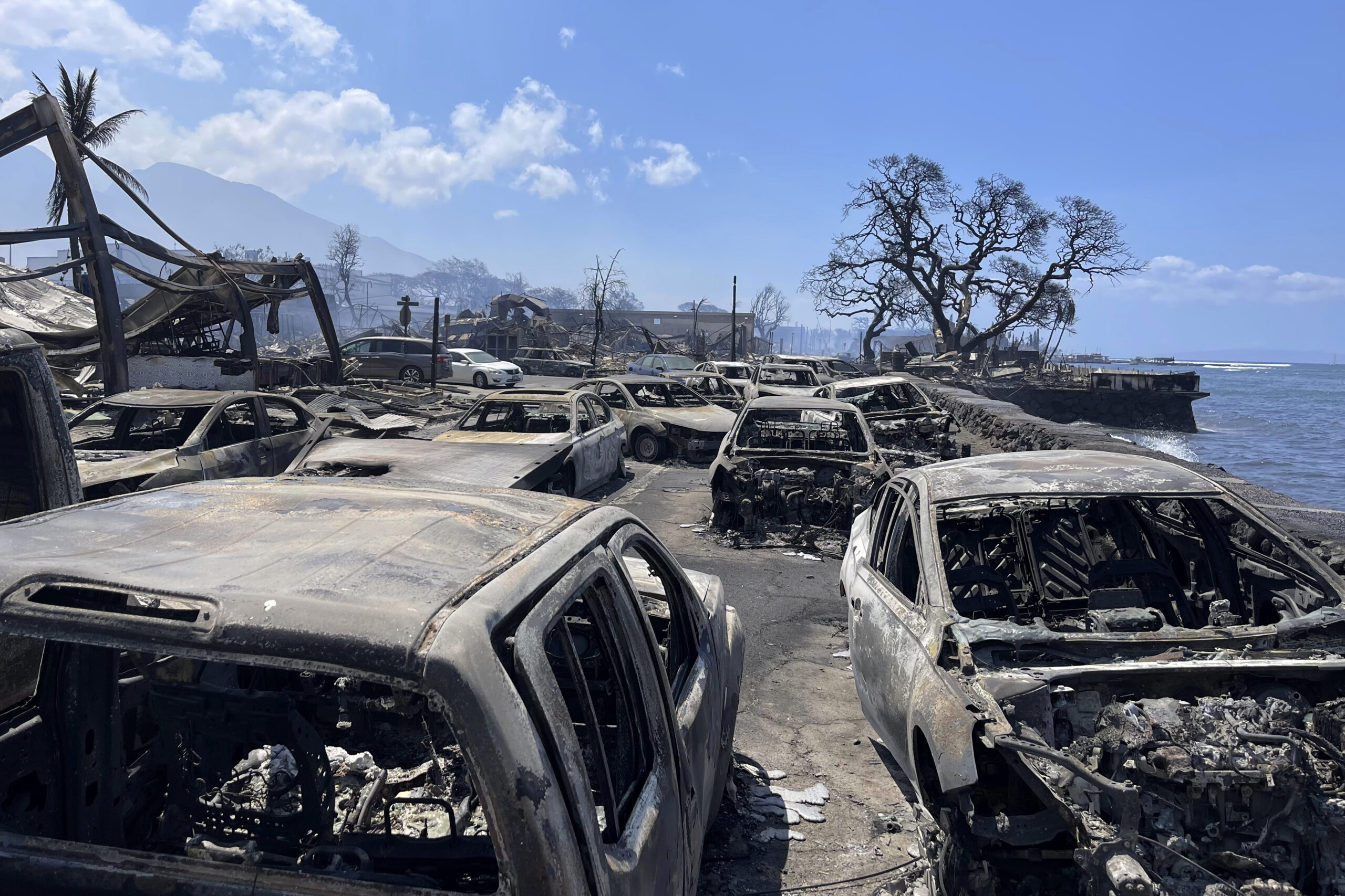 In this photo provided by Tiffany Kidder Winn, burned-out cars sit after a wildfire raged through L...