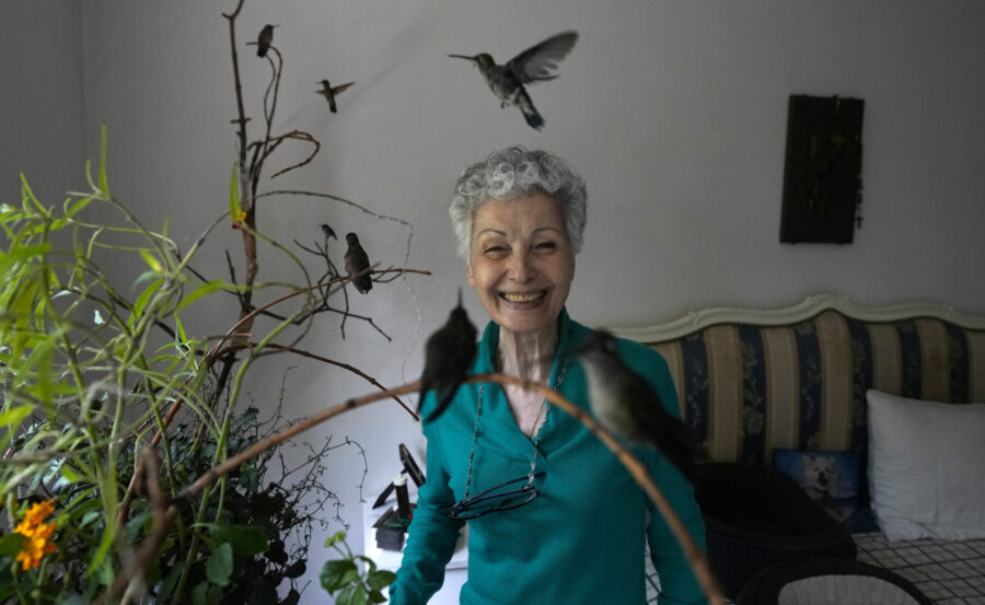Catia Lattouf poses for a photo with hummingbirds in her care, in her apartment that she has turned...