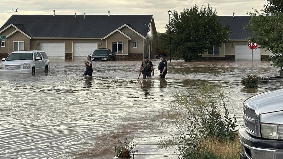 neighborhood waters up to the thighs of 3 people walking in it...