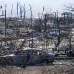 Destroyed homes and cars are shown, Sunday, Aug. 13, 2023, in Lahaina, Hawaii. Hawaii officials urge tourists to avoid traveling to Maui as many hotels prepare to house evacuees and first responders on the island where a wildfire demolished a historic town and killed dozens. (AP Photo/Rick Bowmer)Credit: ASSOCIATED PRESS