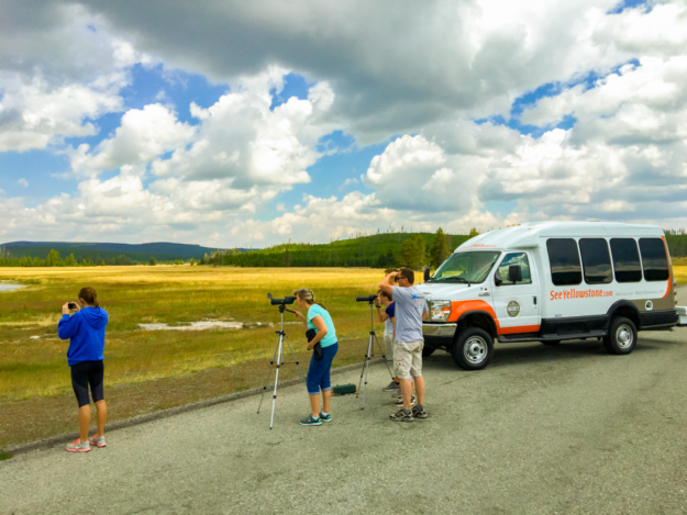 tourists taking photos on a tour of Yellowstone with the tour vans inthe background