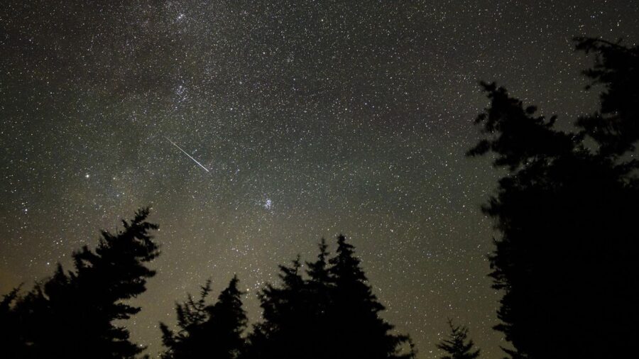 The annual Perseid meteor shower will peak on August 12 and 13, with the most visibility in the Nor...