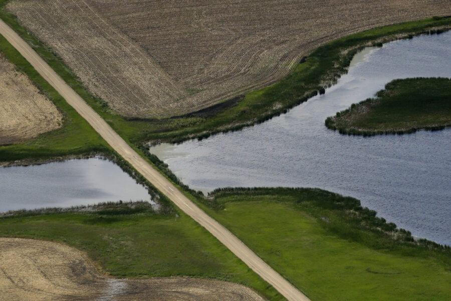 FILE - A road bisects a wetland on June 20, 2019, near Kulm, N.D. States and Native American tribes...