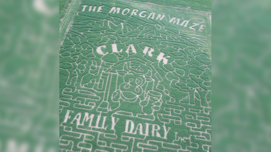 (The Morgan Maze)...
