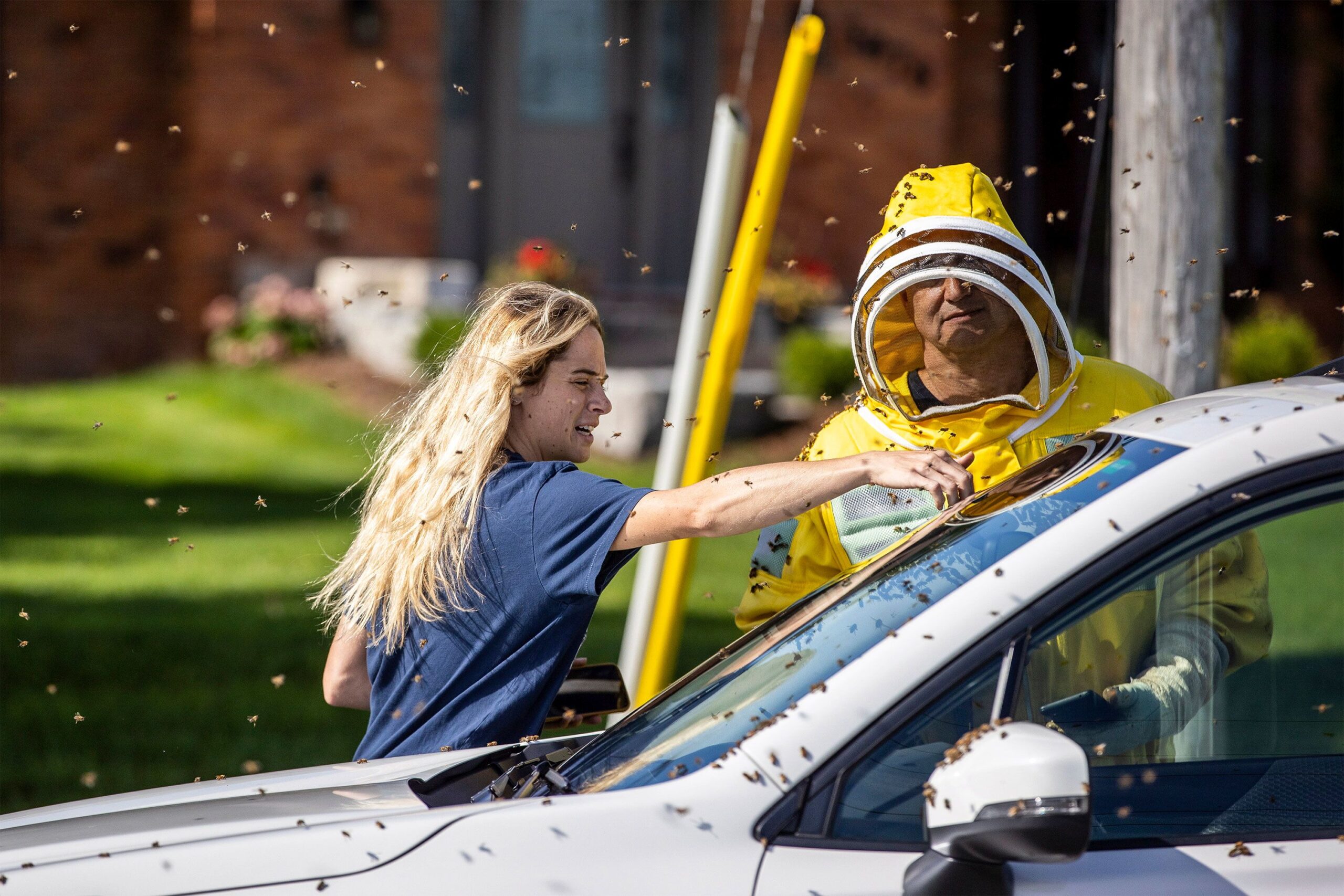 Beekeepers Terri Faloney, left, and Tyler Trute remove bees from a car on Wednesday. (Carlos Osorio...