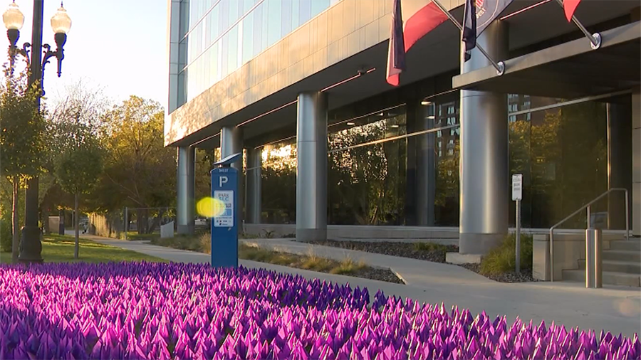 Purple flags outside of the DA's office for domestic violence month....
