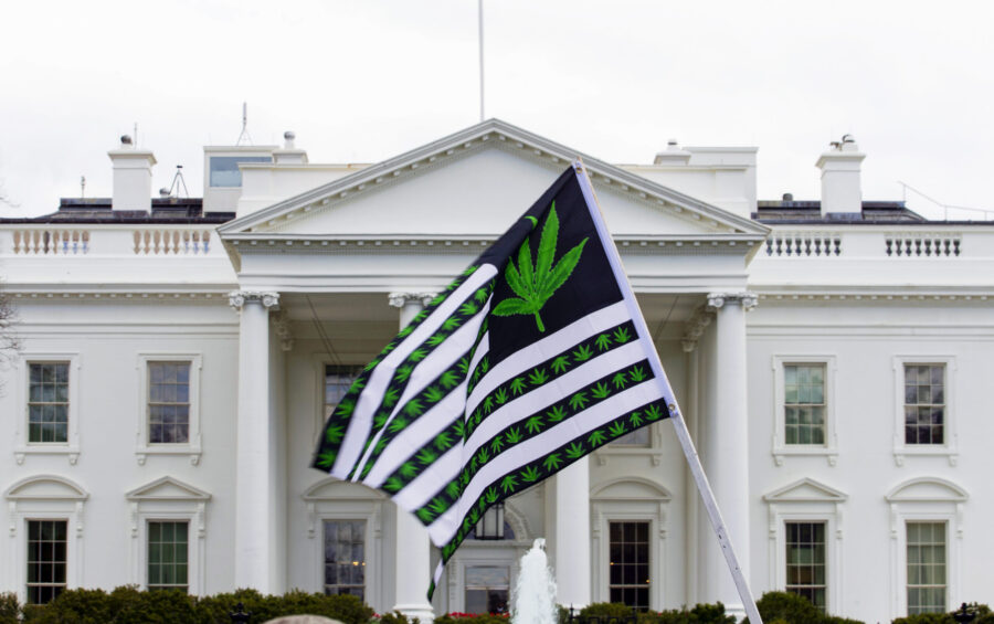 FILE - A demonstrator waves a flag with marijuana leaves depicted on it during a protest calling fo...